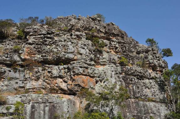 Antigas formações de coral no P.E do Guartelá, região de Tibagi - PR